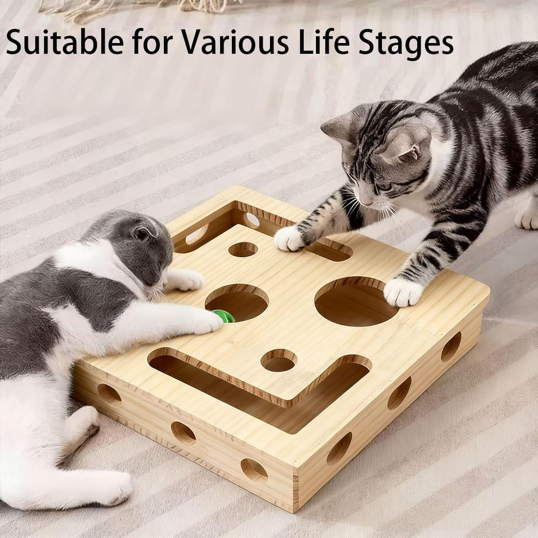 Cat Scratch Puzzle Box