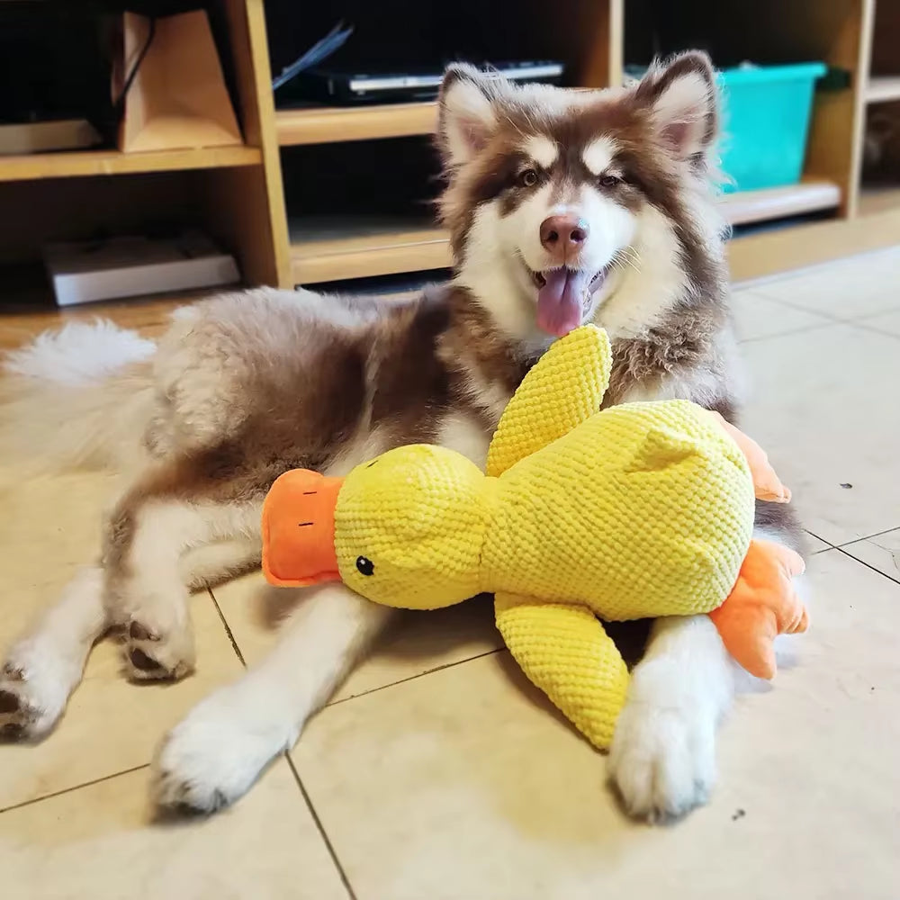 ChewPal CuddleBuddy – Plush Squeaky Toy for Happy, Healthy Pets
