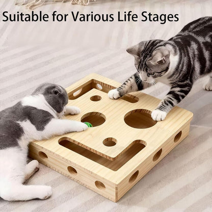 Cat Scratch Puzzle Box
