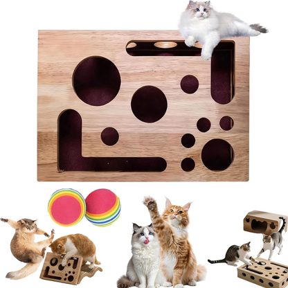 Cat Scratch Puzzle Box