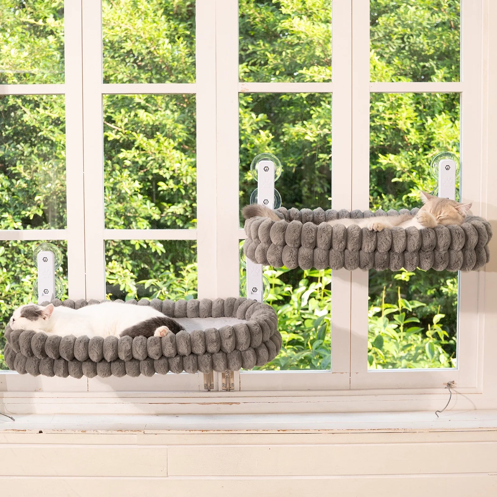 Cat Window Perch, 23*15In Double-Layer Foldable Pet Hammock for Wall with Suckers for Indoor(Medium,Gray)